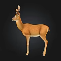 Realistic Brown Deer With Antlers Standing On Black Background Illustration
