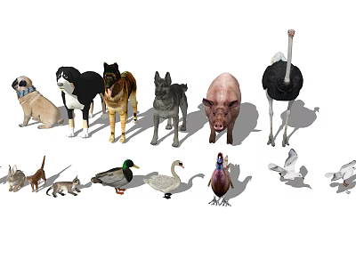 Different Reptile Types Such As Snakes Lizards And Tortoises In Natural Habitat 3d model