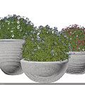 Decorative Bonsai Potted Plants With White Textured Pots And Blue Pink Flowers
