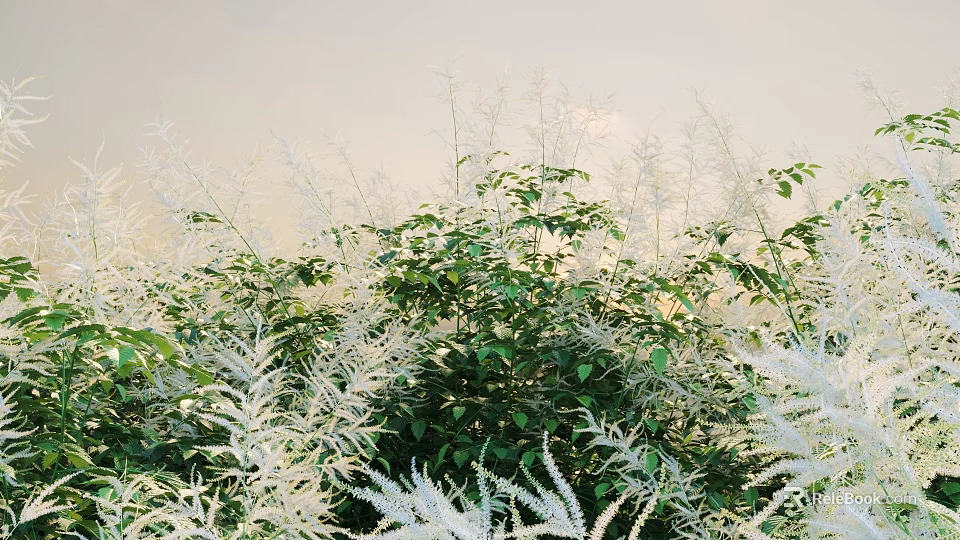 Lush Green Shrubs With Fresh Leaves And White Ferns In Sunlit Outdoor Garden 3d model 