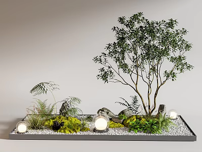 Indoor Landscape Design With a Green Tree Surrounding Green Plants Stones Small Lights And Gravel 3d model