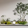 Indoor Landscape Design With a Green Tree Surrounding Green Plants Stones Small Lights And Gravel