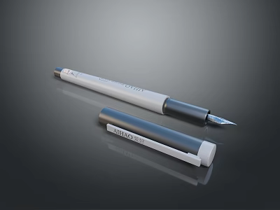 PILOT Fountain Pens Smooth Writing Stationery Tools With Cap Design 3d model