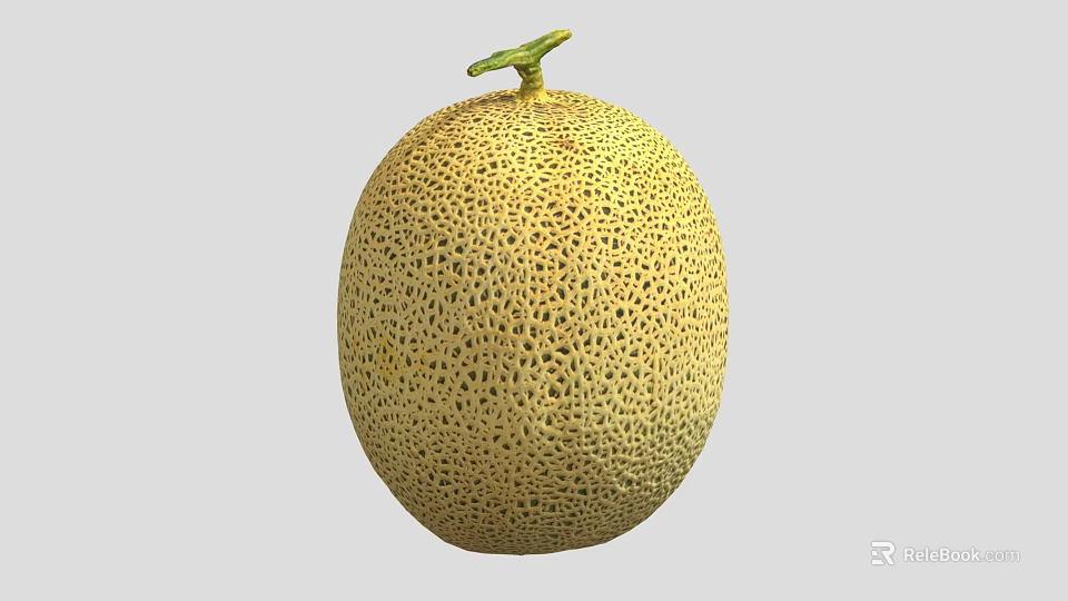 Fresh Oval Shaped Yellow Cantaloupe With Netted Skin And Green Stem On Gray Background 3d model 