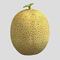 Fresh Oval Shaped Yellow Cantaloupe With Netted Skin And Green Stem On Gray Background