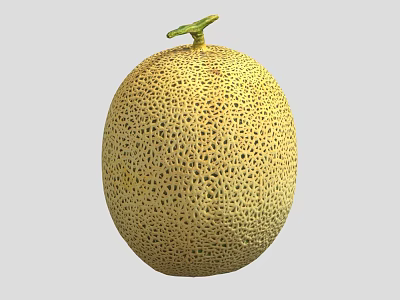Fresh Oval Shaped Yellow Cantaloupe With Netted Skin And Green Stem On Gray Background 3d model