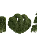 Artistically Trimmed Garden Shrubs in Various Shapes for Outdoor Landscaping Design