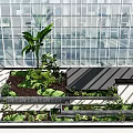 Modern Garden Ornaments Design With Lush Green Plants And Decorative Stones