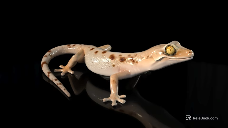Light Colored Spotted Gecko With Yellow Eyes On Black Shiny Surface 3d model 