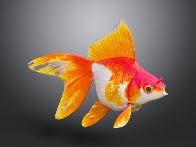 Modern Goldfish Ornamental Fish model