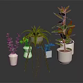 Various Indoor Potted Plants With Green Leaves Yellow Flowers White Pots And Metal Stand
