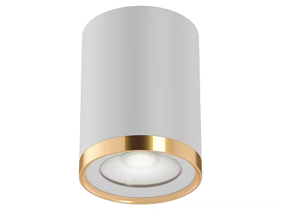 Modern White Ceiling Light With Gold Border And LED Illumination Design 3d model