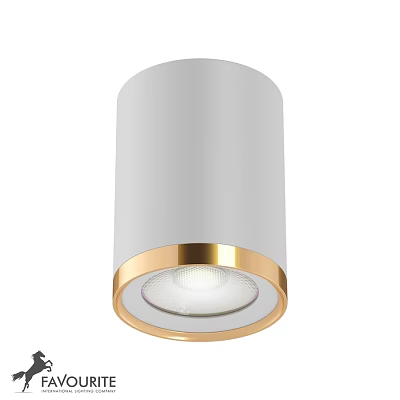 Modern White Ceiling Light With Gold Border And LED Illumination Design 3d model