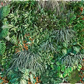 Living Plant Wall With Diverse Green Plants And Orange Flowers For Indoor Decor