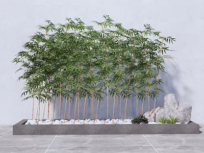 Slender Bamboo with Lush Leaves in Gray Rectangular Planter White Pebbles Large Rock Small Plants 3d model