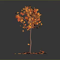 Tree With Orange Red Leaves And Scattered Fallen Leaves On Gray Background 3d model