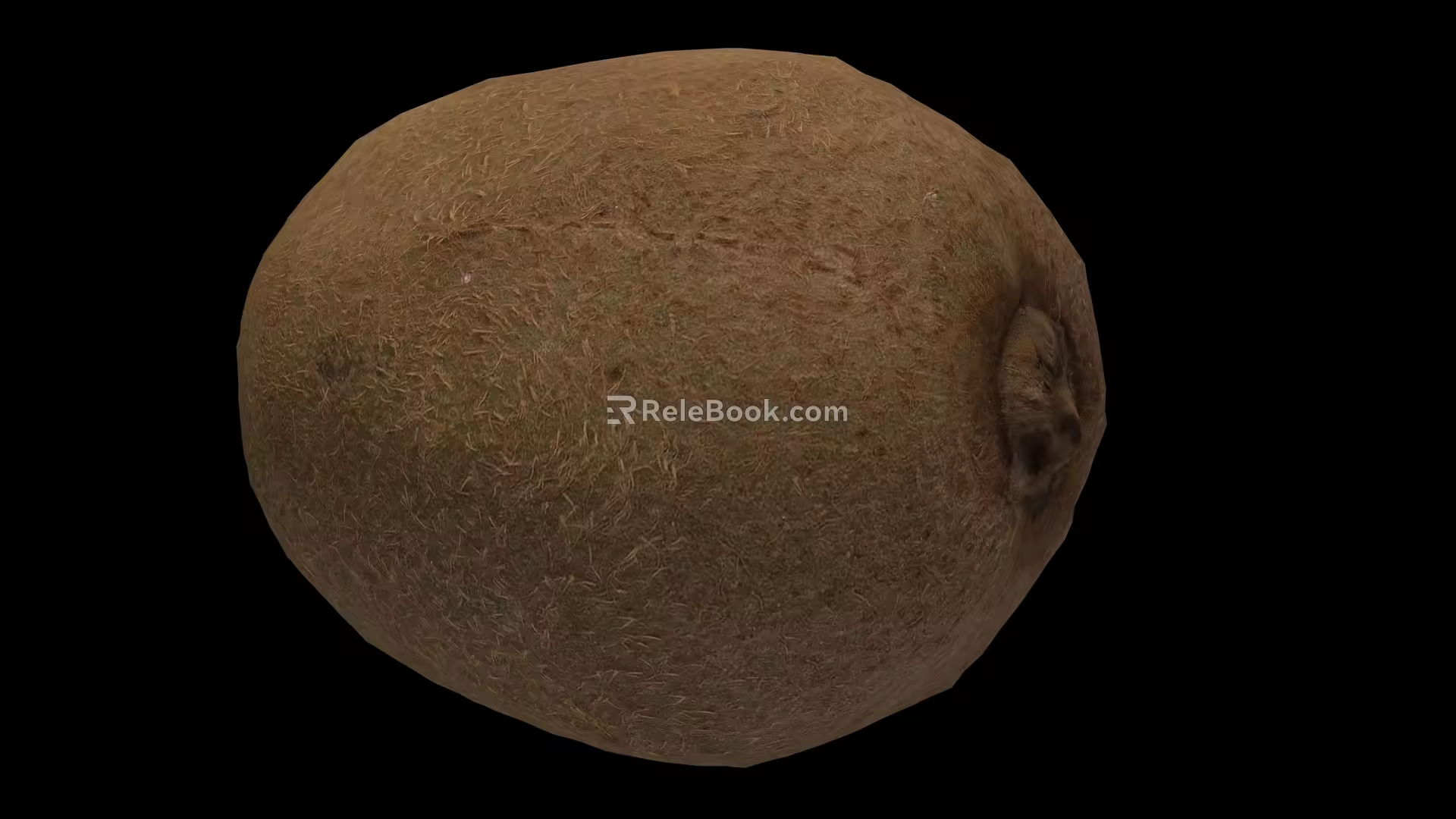 Modern Kiwi 3d model