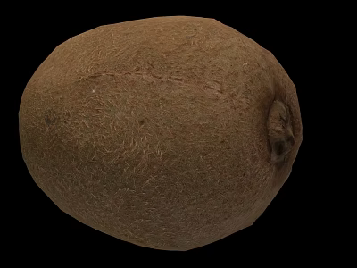 Organic Kiwi Vegetable With Rough Brown Exterior And Firm Texture 3d model