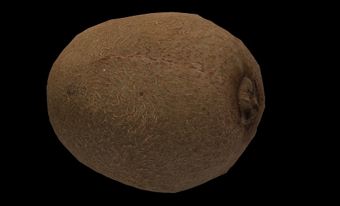 Modern Kiwi 3d model