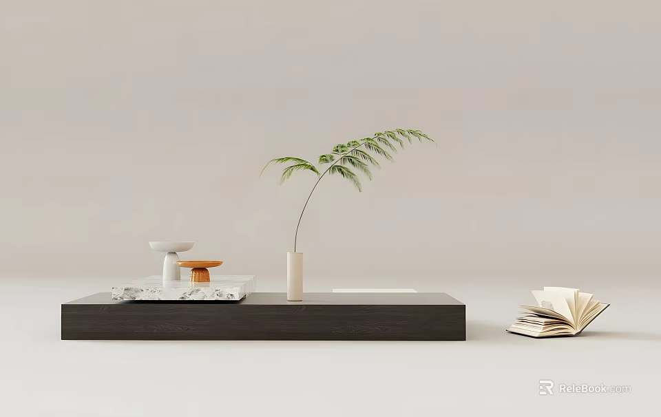 Modern Minimalist Coffee Table With Green Fern Plant White Vase And Marble Tray Open Book 3d model 