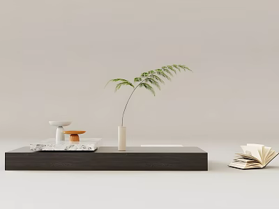 Modern Minimalist Coffee Table With Green Fern Plant White Vase And Marble Tray Open Book 3d model