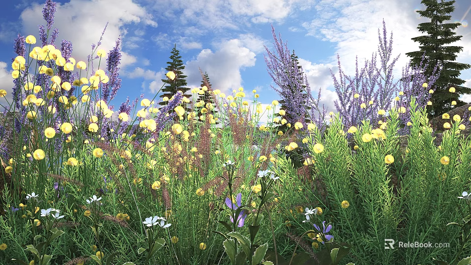Colorful Flowers and Plants in Meadow With Yellow Purple Blooms and Blue Sky 3d model 