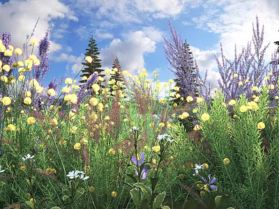 Colorful Flowers and Plants in Meadow With Yellow Purple Blooms and Blue Sky 3d model