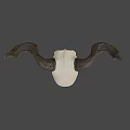 Detailed Mythical Skull With Large Curved Horns On Dark Background