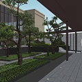 Serene Courtyard Garden Design With Pine Trees Stone Pathway And Water Feature