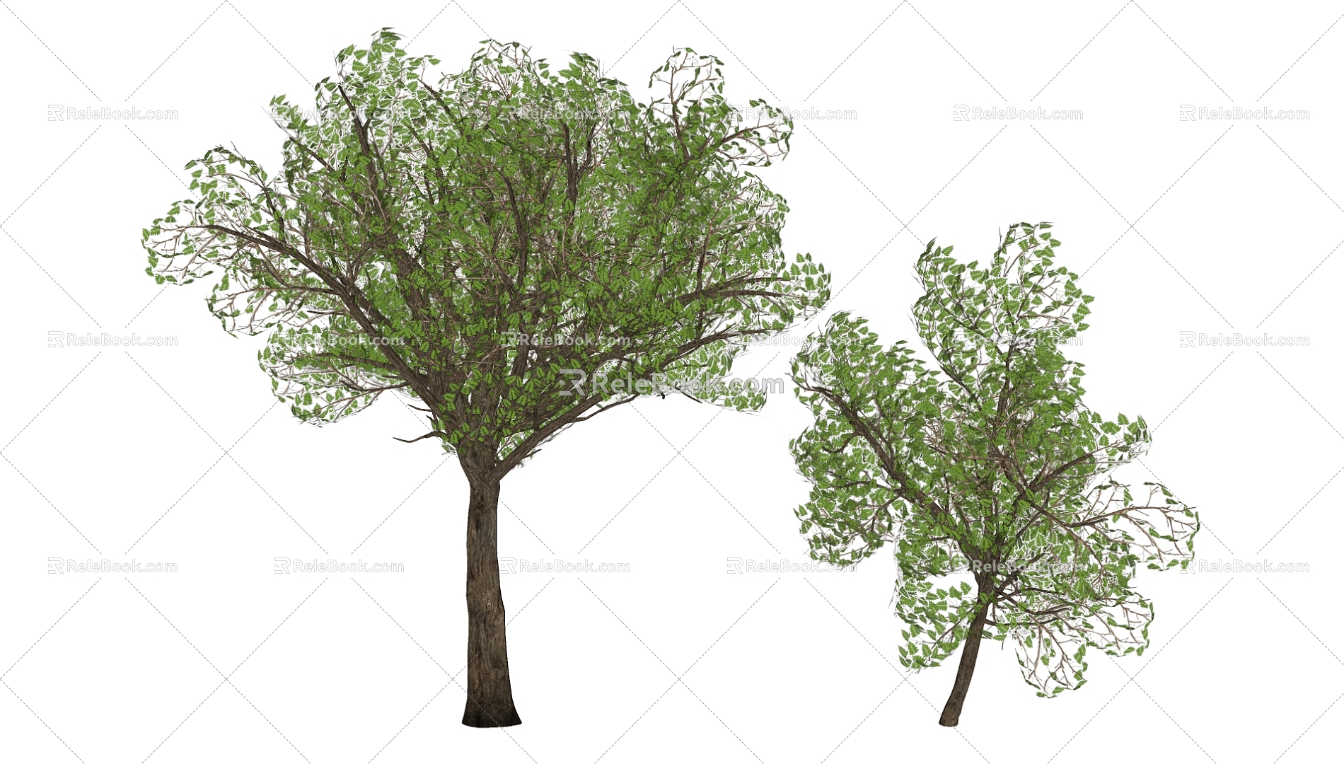 Tree 3d model