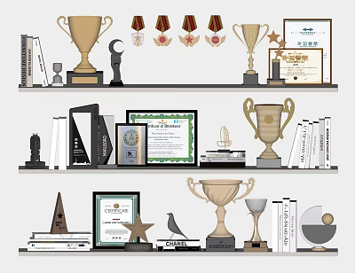 Trophies and Medals Collection Showcase on Shelves With Certificates and Books 3d model
