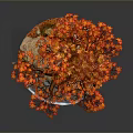 Red Leaf Tree With Vibrant Autumn Foliage Miniature Water Feature Bench And Green Grass Landscape