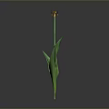 Vibrant Red Flower With Green Stem Leaves And Yellow Black Center On Gray Background