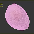 Clam Shell With Brown Orange White Colors And Natural Texture On Dark Background