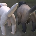 gray-tomentose monkey common tomentose monkey humboldt tomentose monkey 3d model