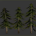 Three Green Pine Trees With Brown Trunks And Green Needles On Gray Background 3d model
