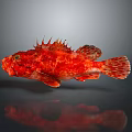 Red Spiny Fish With Vibrant Red Color And Spotted Pattern Sharp Dorsal Fins