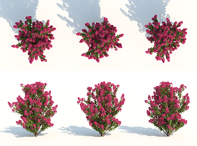 Modern shrubs 3d model