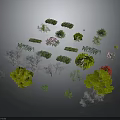 Diverse Plants with Green Leaves Various Shaped Shrubs and Pink Red Flowers on Dark Background