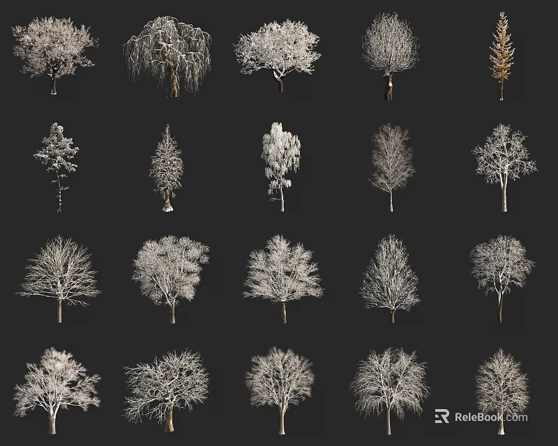 Diverse Arbor Trees with Snowy Branches and Leafless Crowns on Black Background 3d model 
