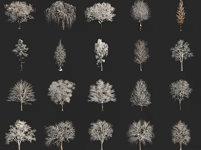 Diverse Arbor Trees with Snowy Branches and Leafless Crowns on Black Background 3d model