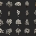 Diverse Arbor Trees with Snowy Branches and Leafless Crowns on Black Background 3d model