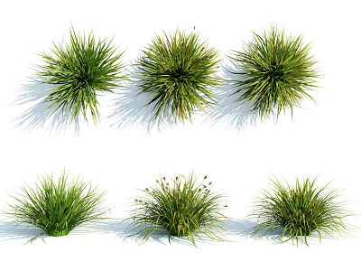 Various Lush Green Grass Plants With Natural Shapes And Detailed Foliage 3d model