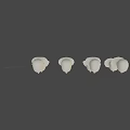 Game Film Character Head Models for Man Woman with High Mid Low Very Low Poly