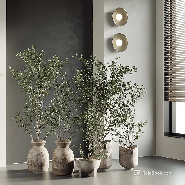 Indoor Bonsai Potted Plants With Green Leaves In Terracotta Pots Near Window And Round Lights 3d model 