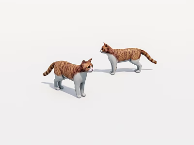Two Brown And White Tabby Cats Standing On White Background With Realistic Details 3d model