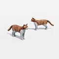 Two Brown And White Tabby Cats Standing On White Background With Realistic Details