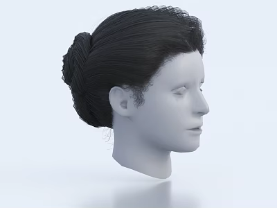 Realistic 3D Human Head Model With Detailed Facial Organs And Black Hair Bun Hairstyle 3d model
