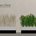 Stylish Plant Combination with Wheat like Grass and Green Foliage in Black White Containers