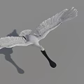 White Flying Bird With Spread Wings Long Black Beak And Grey Background 3d model